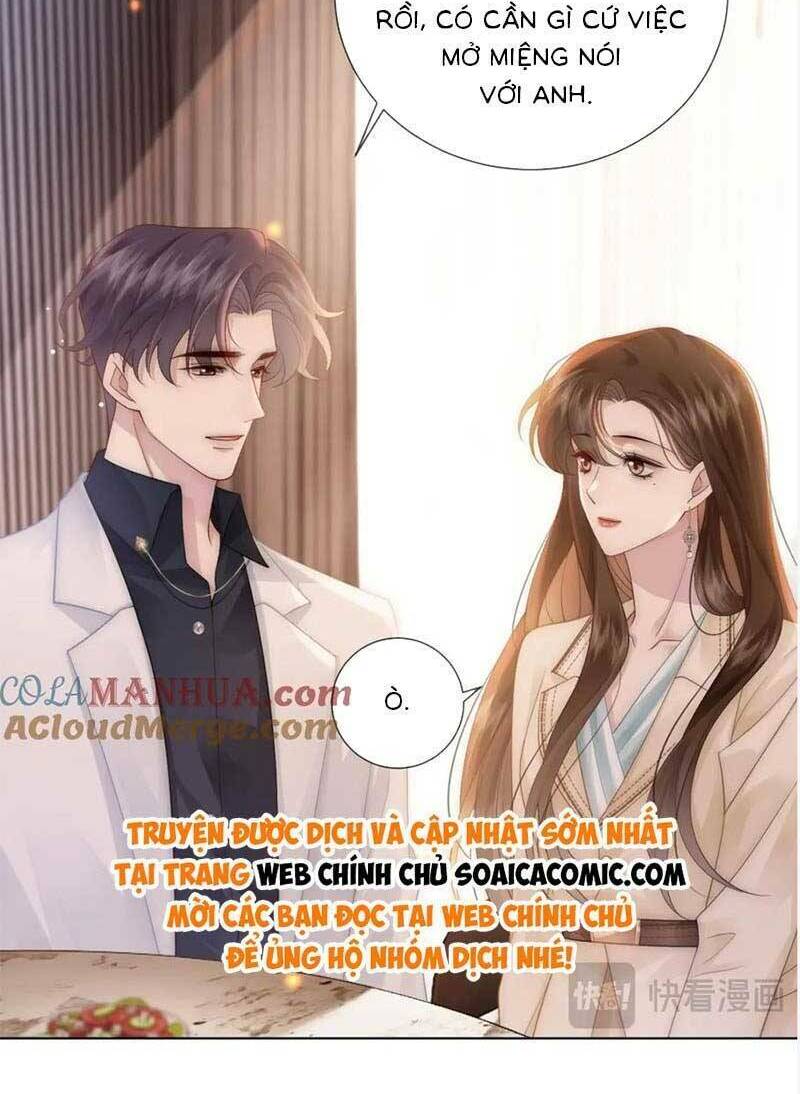 Yêu Lại Sau Một Đêm Bên Nhau Chương 41 Ảnh 7