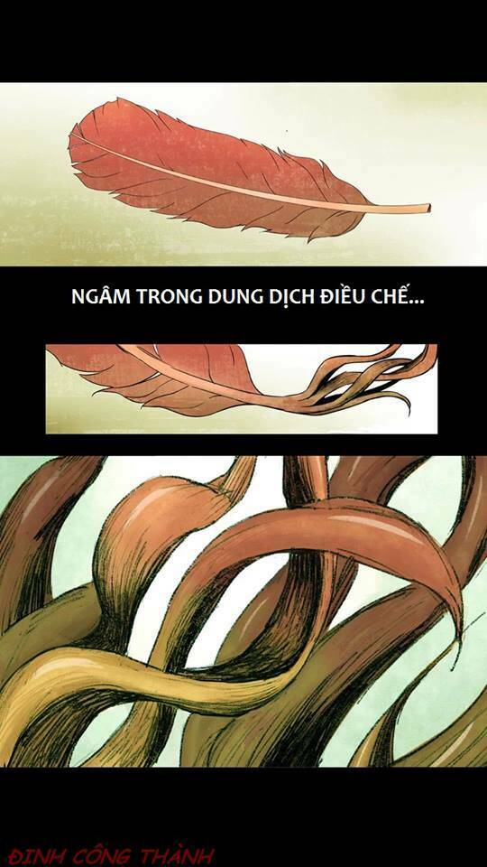 Bóng Tối Ma Quỷ Chương 2 Ảnh 28