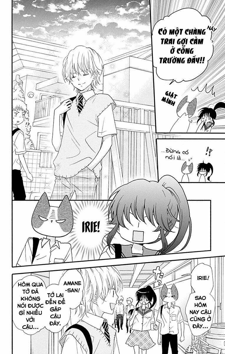 Nekota No Koto Ga Ki Ni Natte Shikatanai Chương 35 Ảnh 30