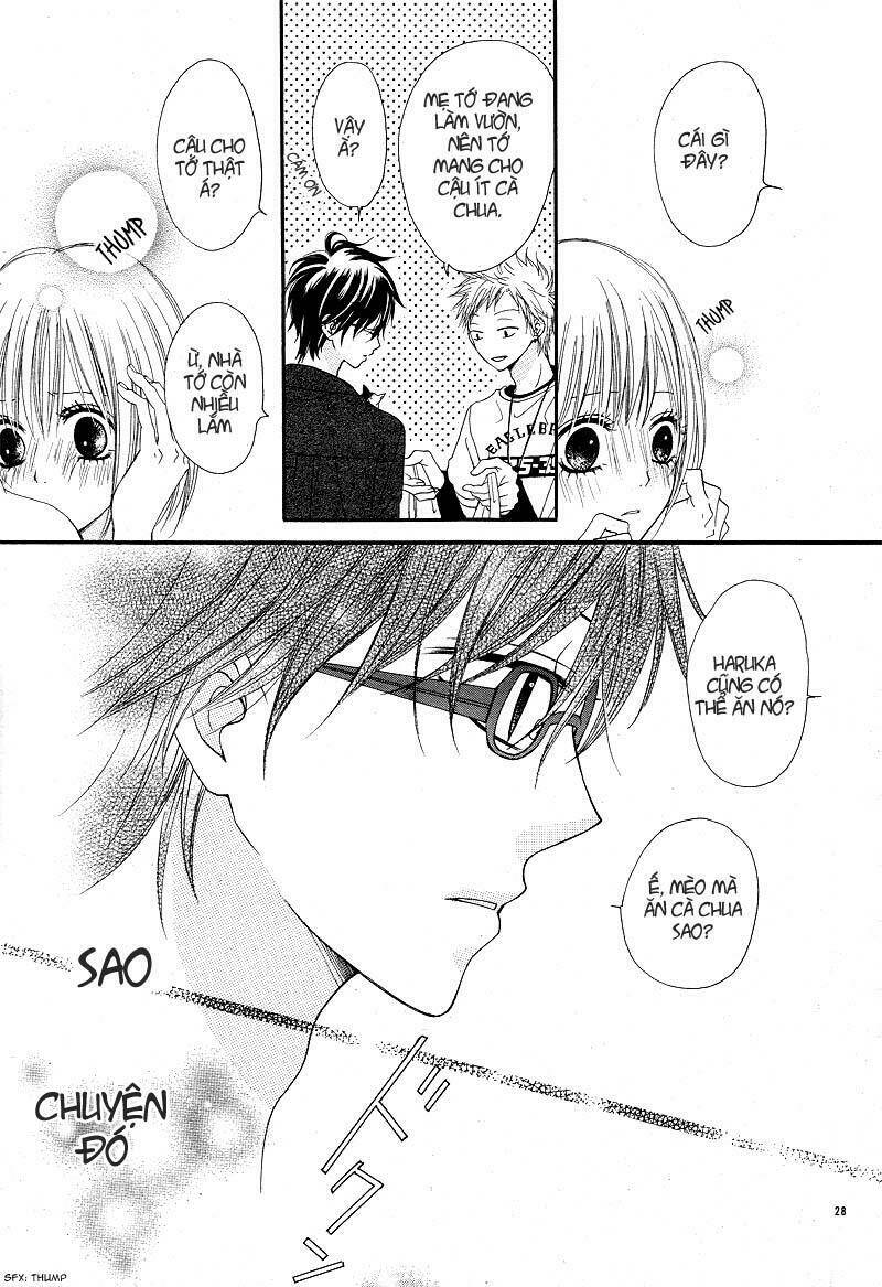 Kimi To Koi O Shitta Chương 2 Ảnh 30