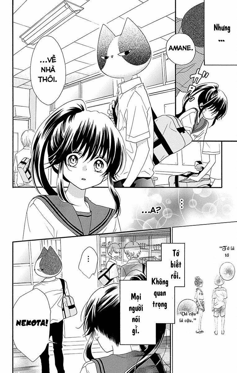 Nekota No Koto Ga Ki Ni Natte Shikatanai Chương 35 Ảnh 28