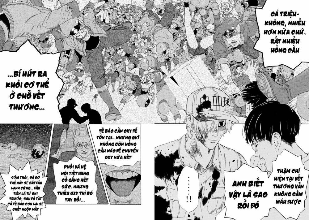 Hataraku Saibou ! Chương 18 Ảnh 4