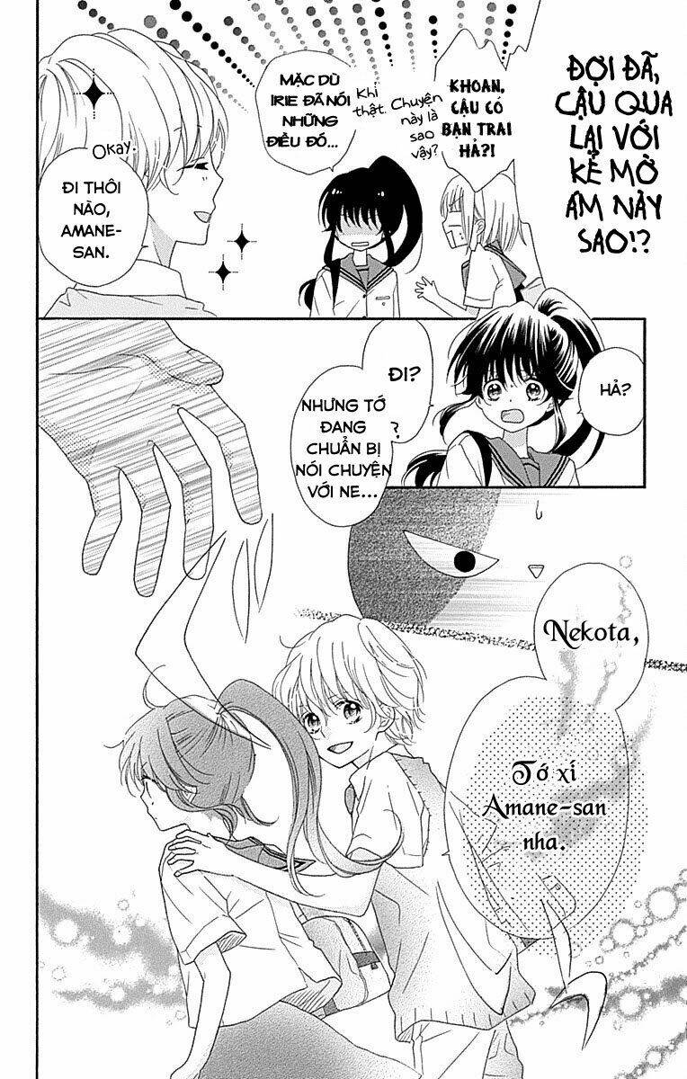 Nekota No Koto Ga Ki Ni Natte Shikatanai Chương 35 Ảnh 32