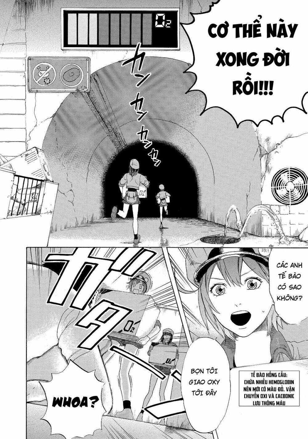 Hataraku Saibou ! Chương 18 Ảnh 5