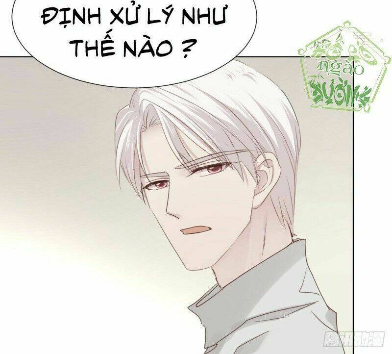 Điều Giáo Gấu Bắc Cực Chương 41 Ảnh 46
