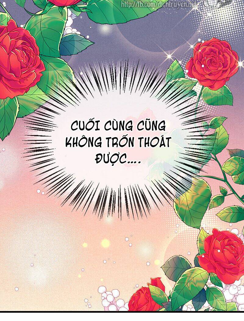 Chọc Phải Điện Hạ Yêu Nghiệt Chương 64 Ảnh 10