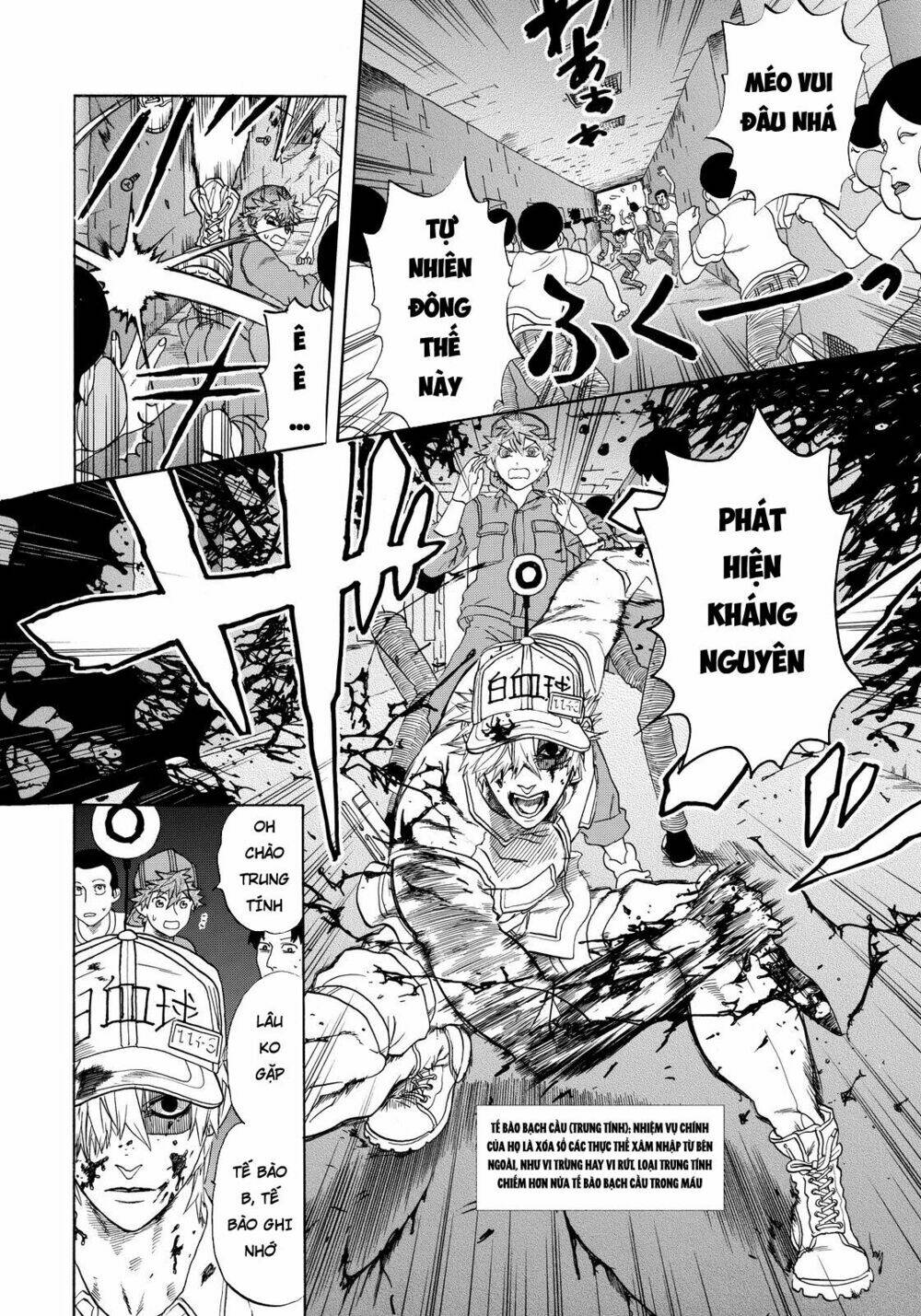 Hataraku Saibou ! Chương 13 Ảnh 9