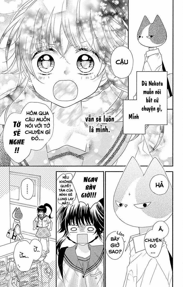 Nekota No Koto Ga Ki Ni Natte Shikatanai Chương 35 Ảnh 29