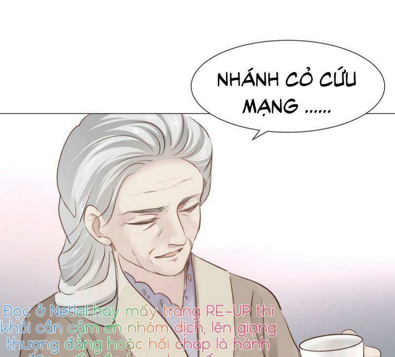 Điều Giáo Gấu Bắc Cực Chương 53 Ảnh 50