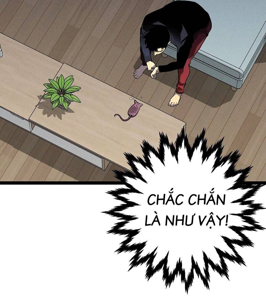 Thiên Phú Của Ngươi, Giờ Là Của Ta Chương 89 Ảnh 41