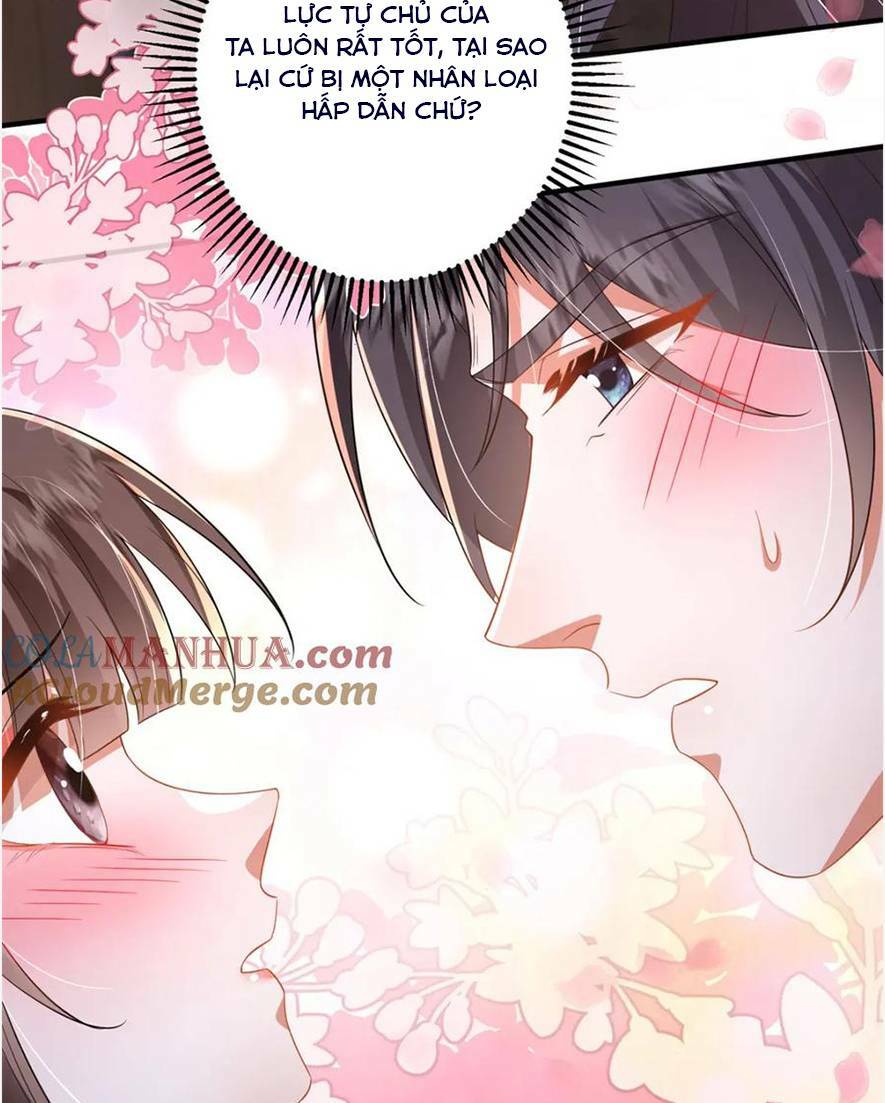 Phượng Hoàng Quy Hồi Chương 16 Ảnh 27