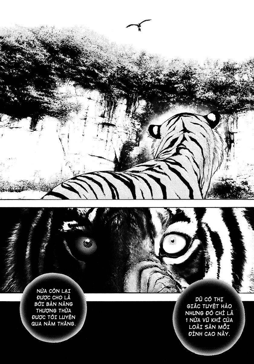 Tough - Miyazawa Kiichi Chương 426 Ảnh 4