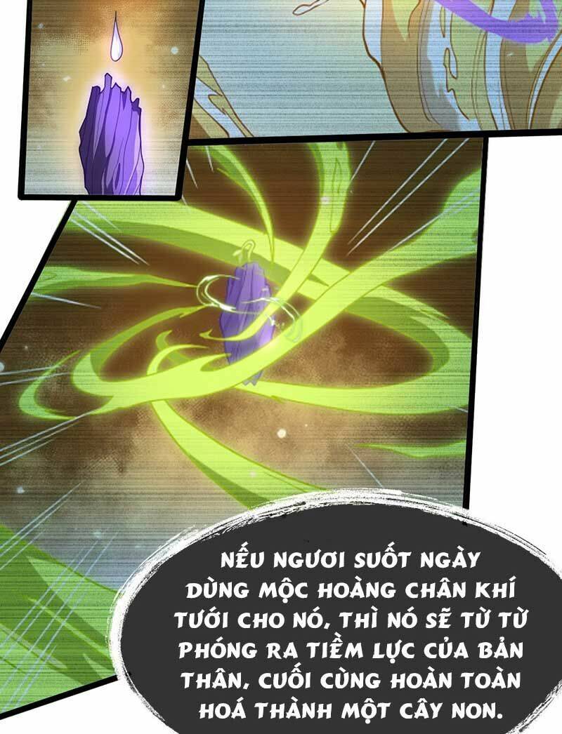 Vĩnh Sinh Chương 74 Ảnh 14