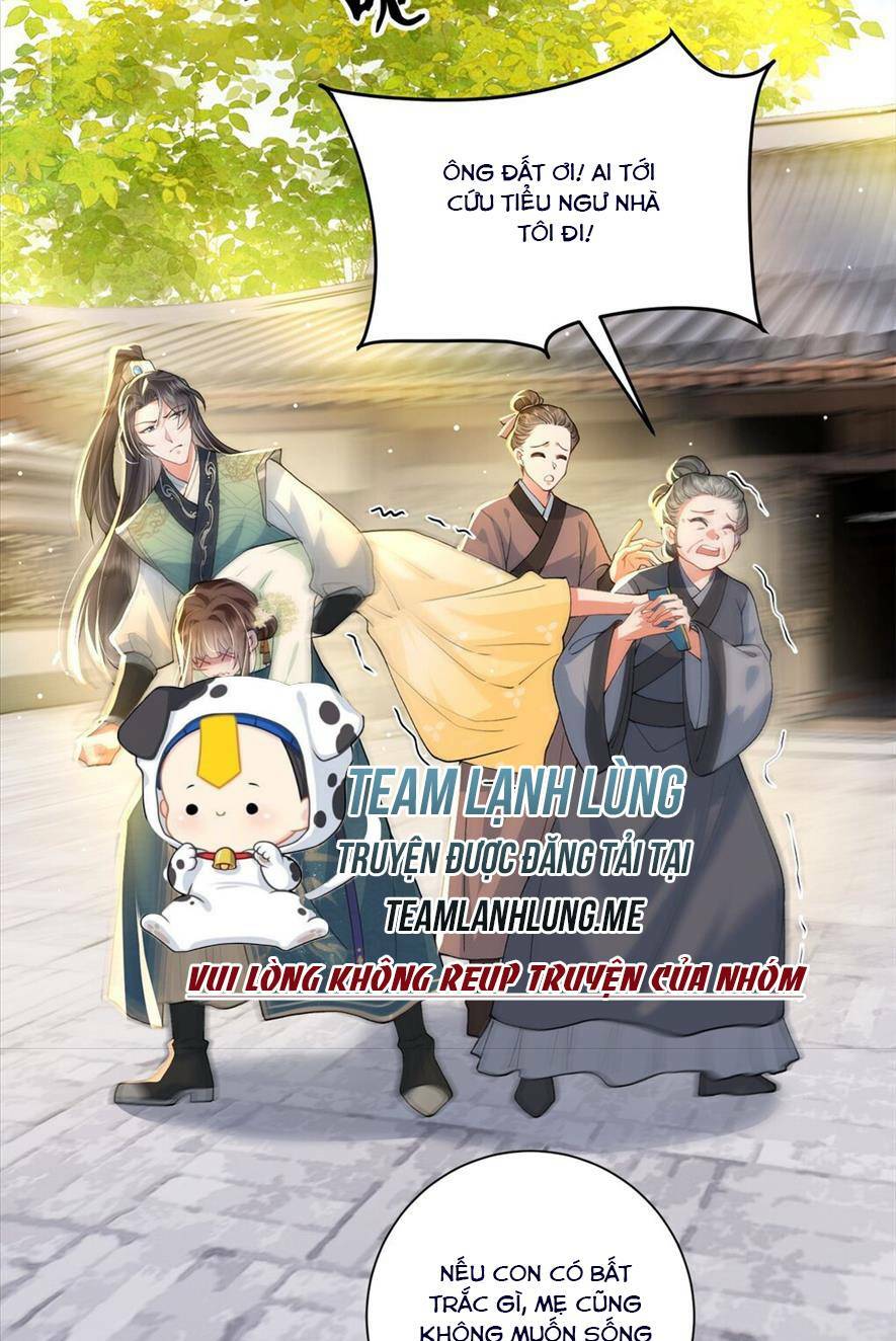 Phượng Hoàng Quy Hồi Chương 4 Ảnh 3