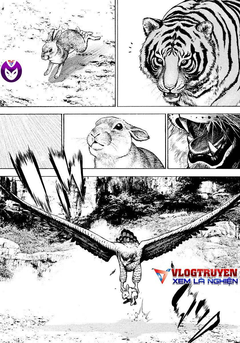 Tough - Miyazawa Kiichi Chương 426 Ảnh 3