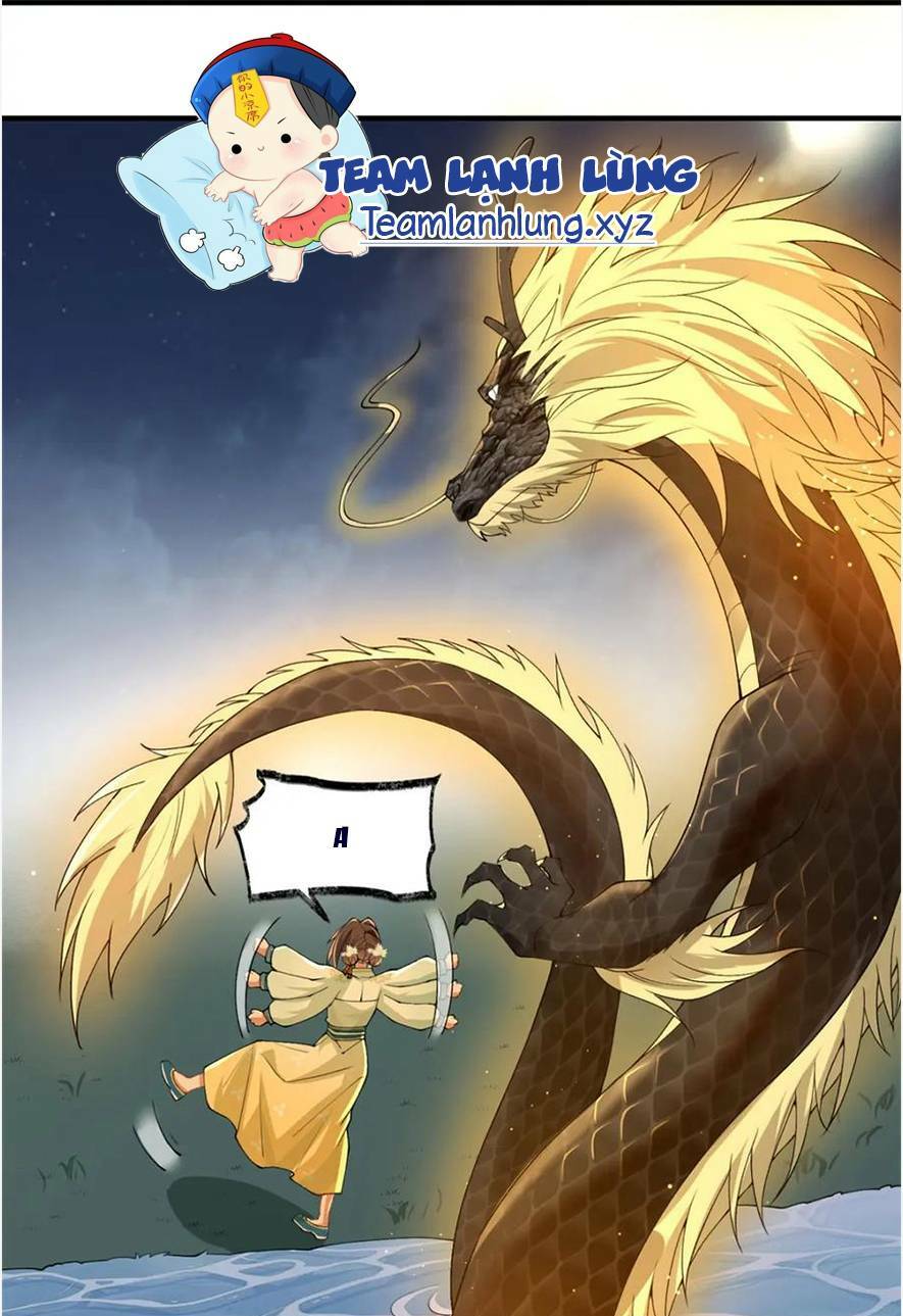 Phượng Hoàng Quy Hồi Chương 17 Ảnh 31