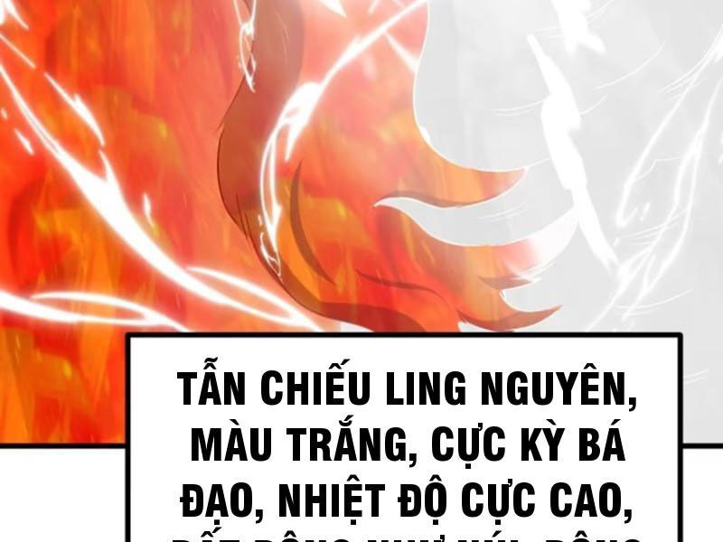 Ta Có Một Thân Kỹ Năng Bị Động Chương 62 Ảnh 85