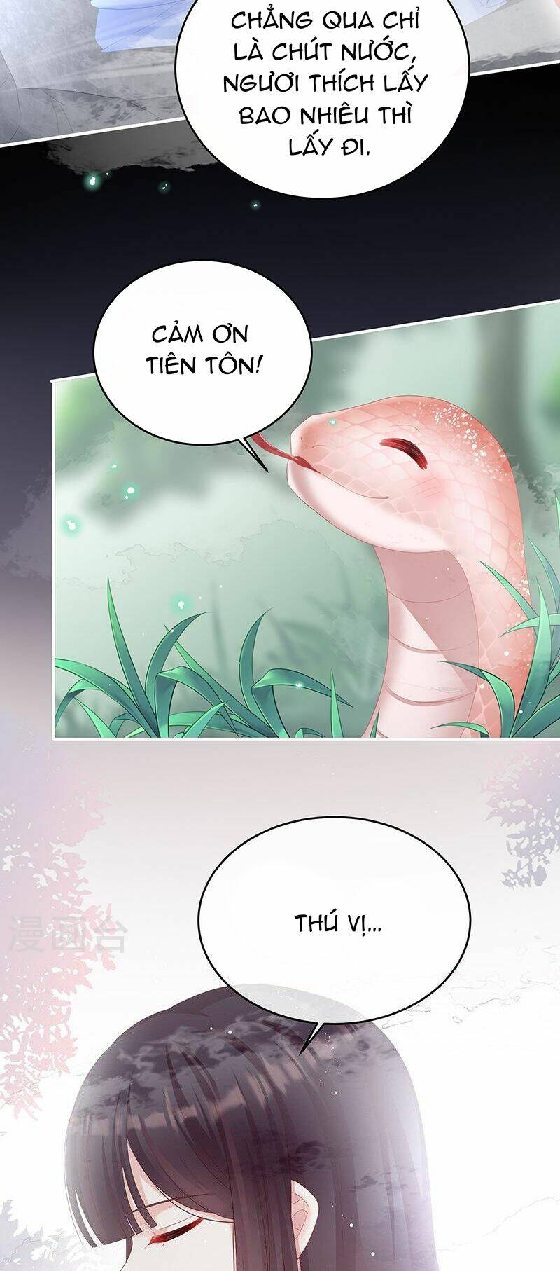 Kiều Phu Có Hỉ Chương 67 Ảnh 16