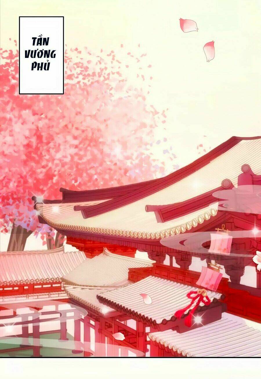 Vương Phi, Vương Gia Nhà Ngươi Không Ngốc Nữa Rồi Chương 1 Ảnh 14