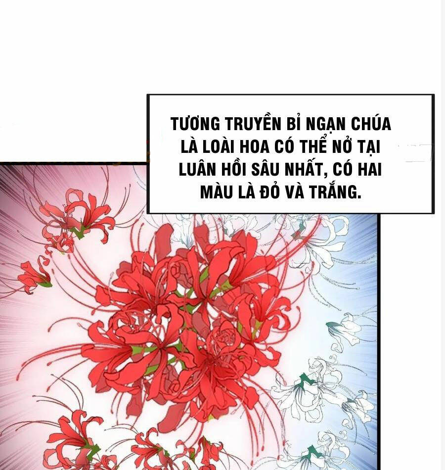 Ta Không Phải Con Cưng Của Khí Vận Chương 222 Ảnh 24