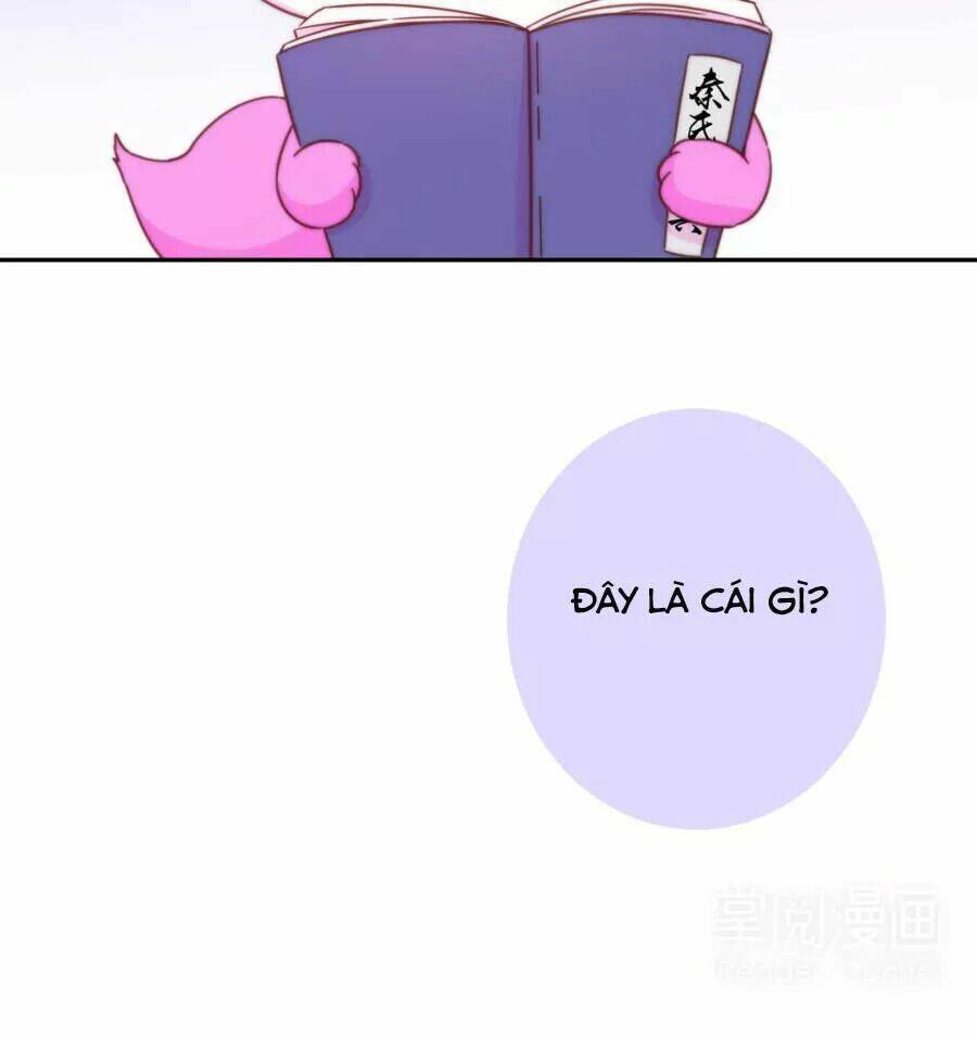 Vương Phi, Vương Gia Nhà Ngươi Không Ngốc Nữa Rồi Chương 7 Ảnh 13