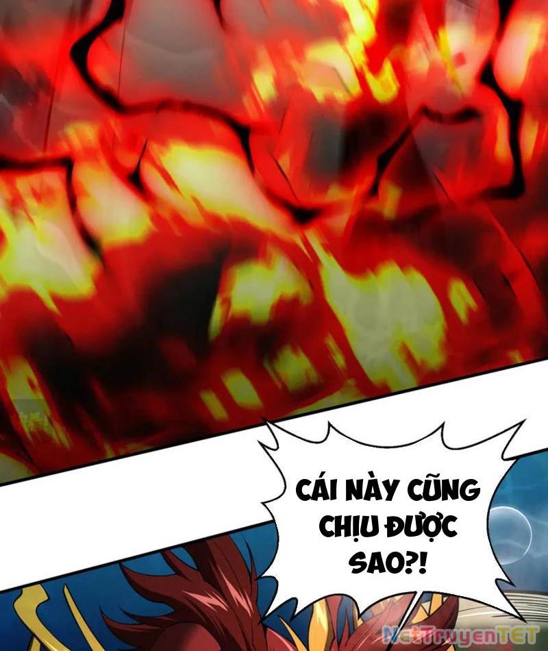 Cá Chép Tiến Hoá Thành Thần Long Chương 40 Ảnh 42