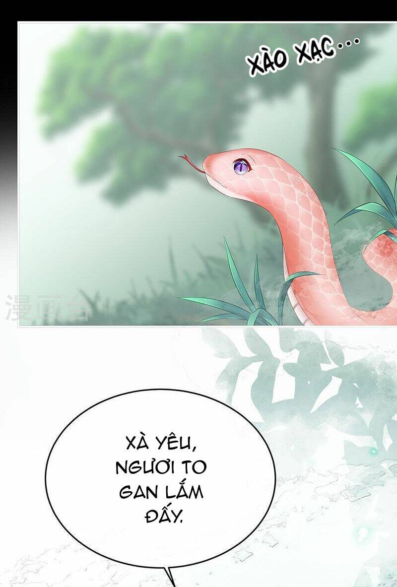 Kiều Phu Có Hỉ Chương 67 Ảnh 12
