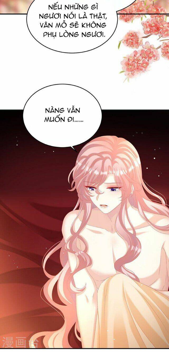 Kiều Phu Có Hỉ Chương 68 Ảnh 14