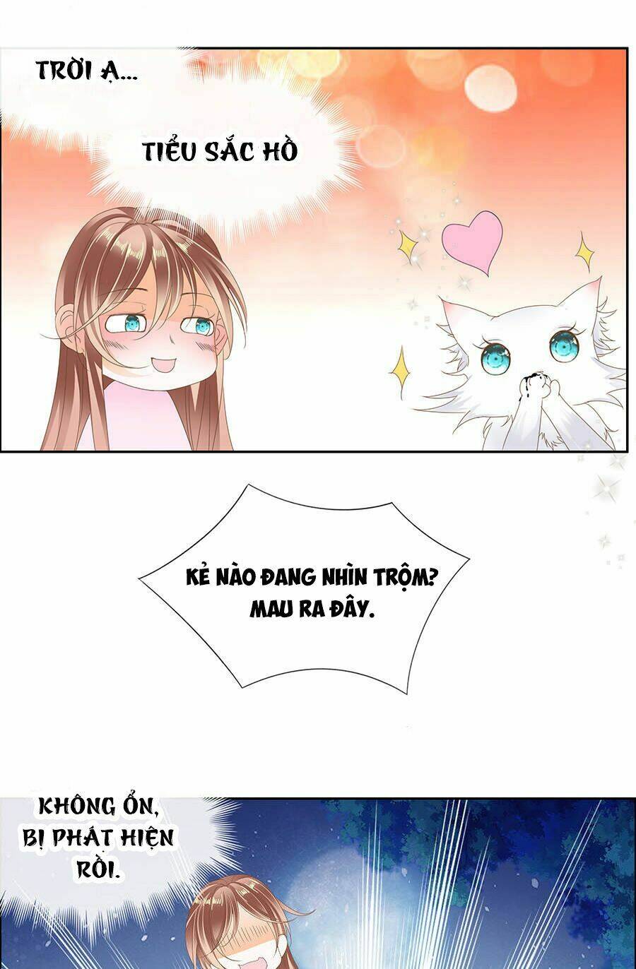 Vương Phi Lại Hạ Độc Rồi Chương 7 Ảnh 29