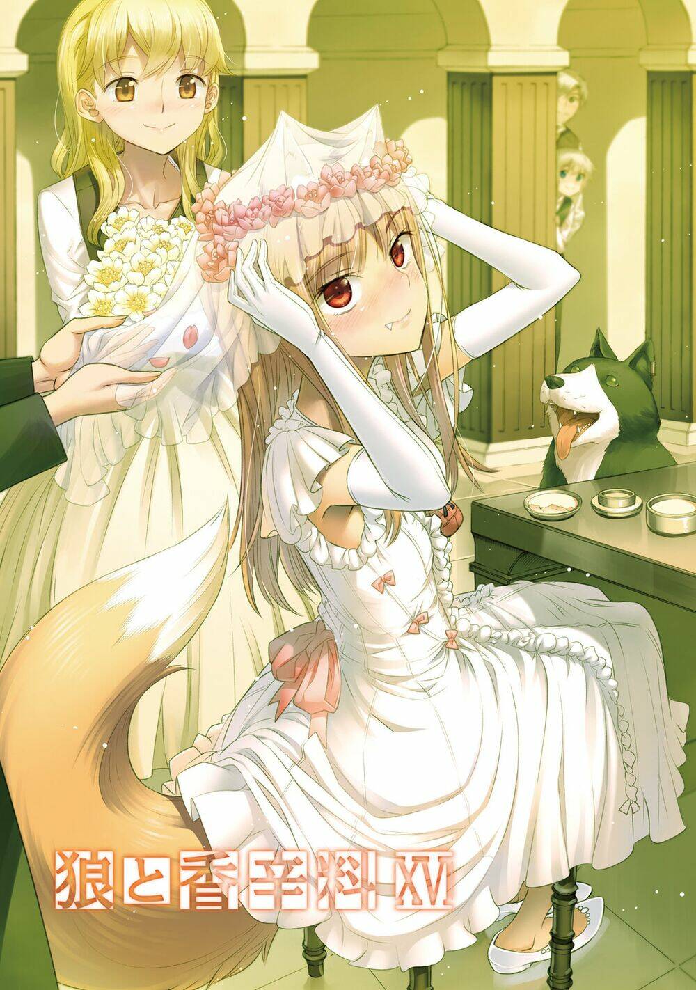 Ookami To Koushinryou Chương 93 Ảnh 5