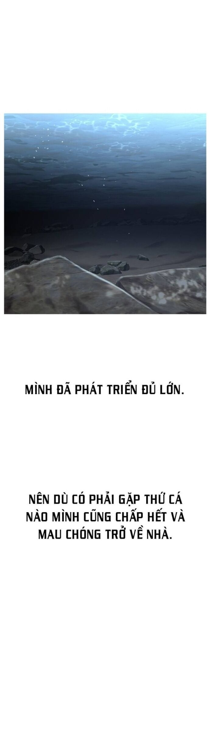 Hoá Thân Thành Cá Chương 39 Ảnh 41