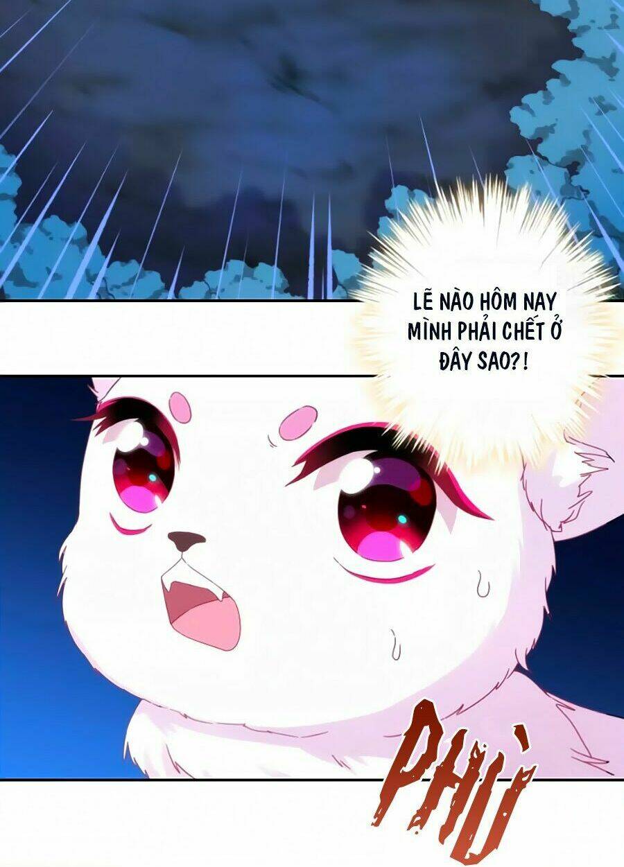 Vương Phi, Vương Gia Nhà Ngươi Không Ngốc Nữa Rồi Chương 1 Ảnh 9