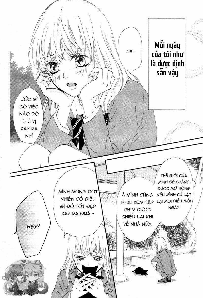 Koi Ni Naranai Wake Ga Nai Chương 1 Ảnh 8