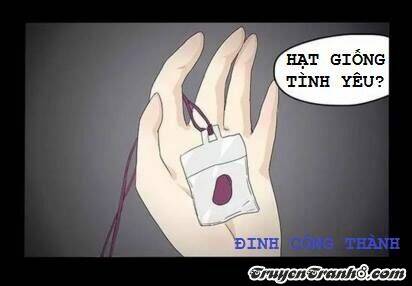 Hạt Giống Tình Yêu Chương 2 Ảnh 11