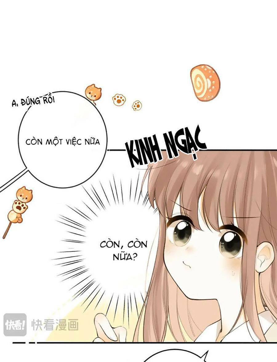 Tình Yêu Duy Nhất Của Tôi Chương 51 Ảnh 3
