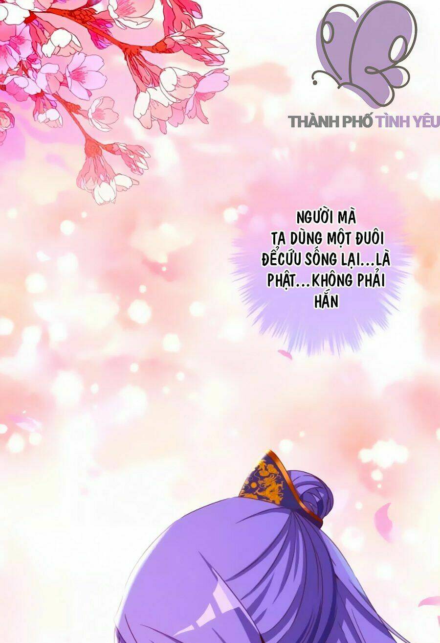 Vương Phi, Vương Gia Nhà Ngươi Không Ngốc Nữa Rồi Chương 9 Ảnh 21