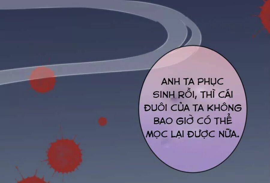 Vương Phi, Vương Gia Nhà Ngươi Không Ngốc Nữa Rồi Chương 5 Ảnh 21