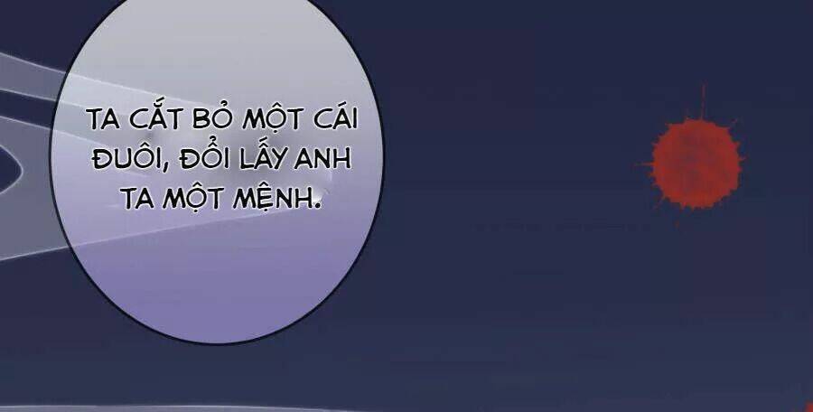 Vương Phi, Vương Gia Nhà Ngươi Không Ngốc Nữa Rồi Chương 5 Ảnh 20