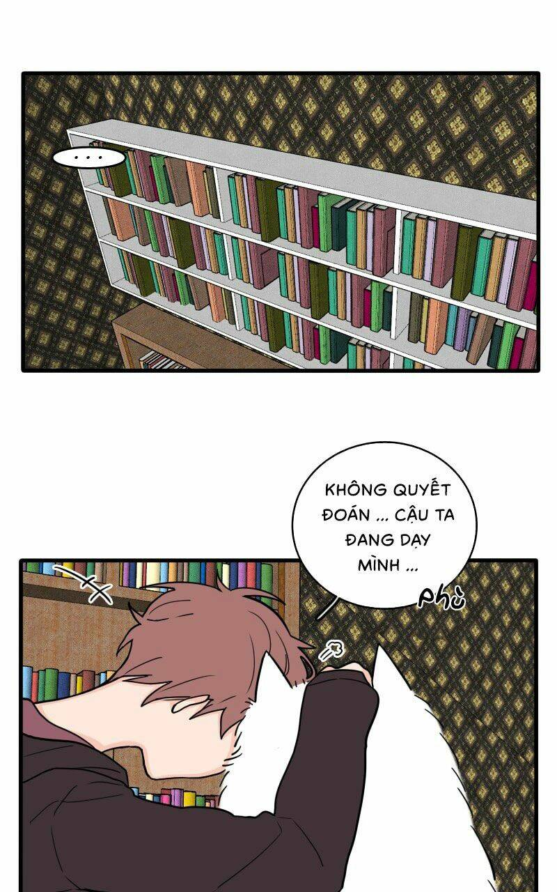 Not So Shoujo Love Story Chương 16 Ảnh 45