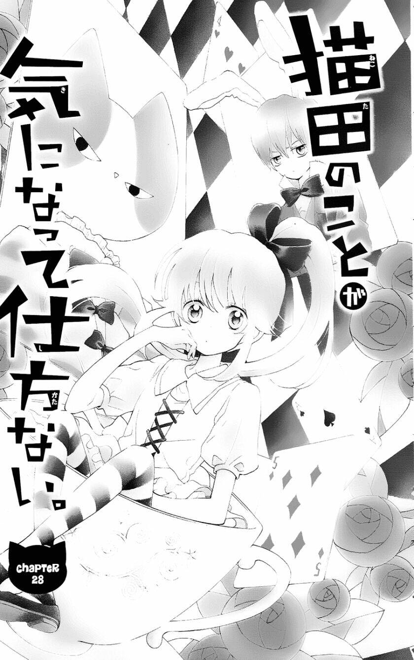 Nekota No Koto Ga Ki Ni Natte Shikatanai Chương 28 Ảnh 5