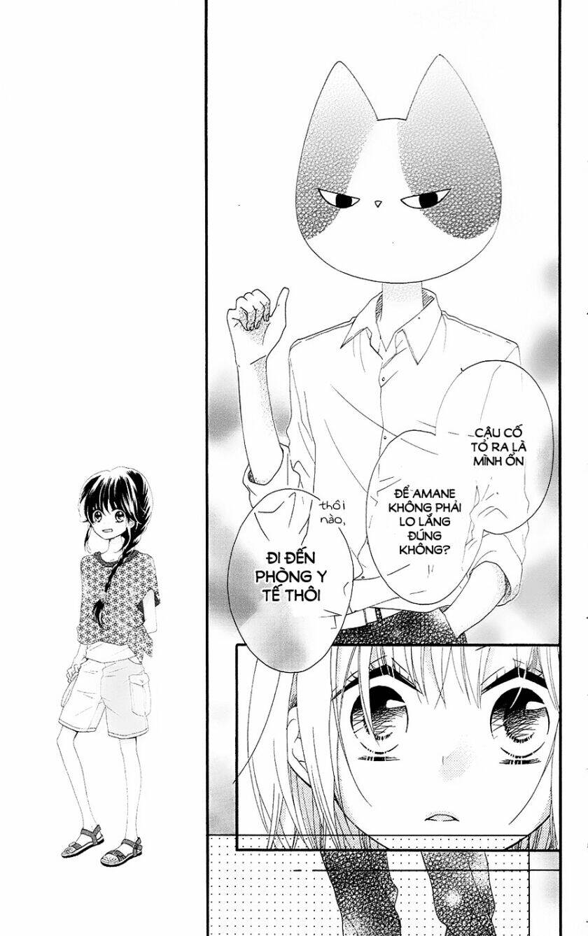 Nekota No Koto Ga Ki Ni Natte Shikatanai Chương 26 Ảnh 27