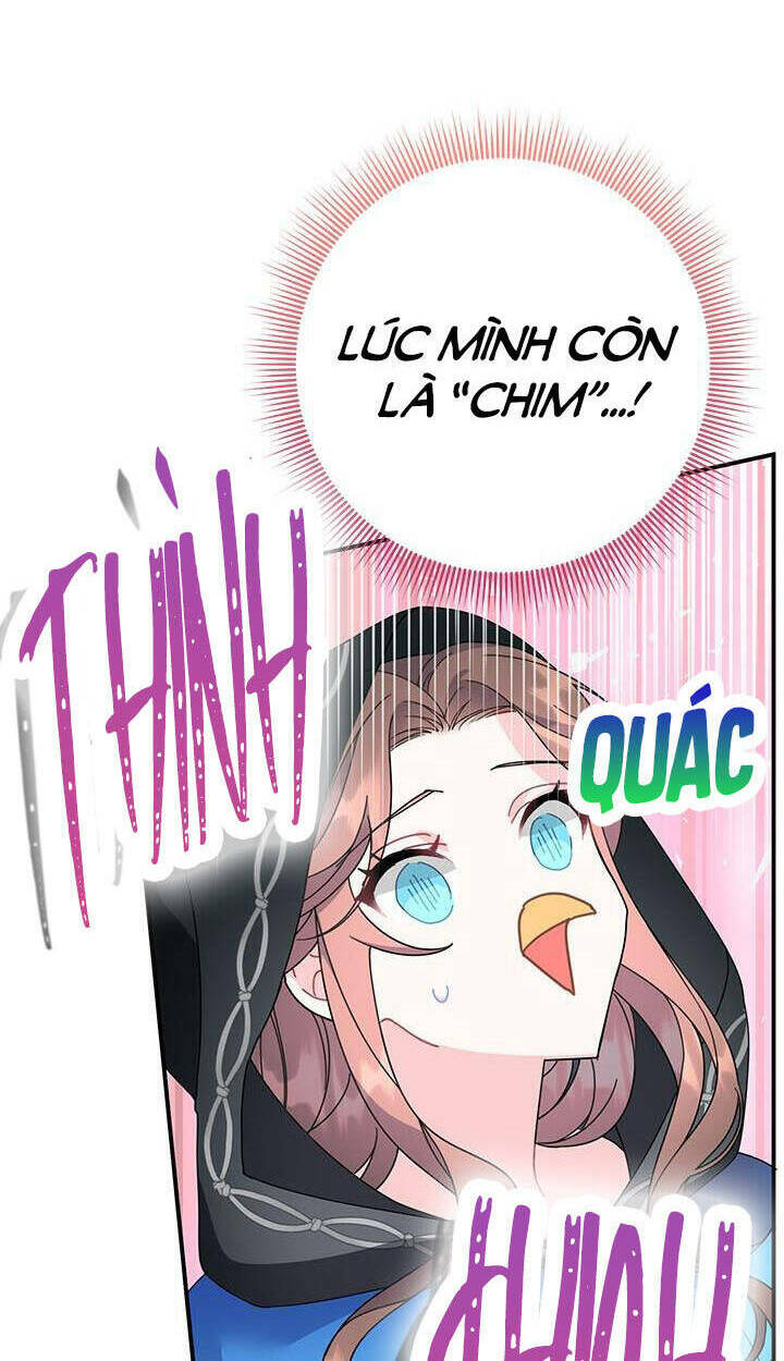 Công Chúa Của Loài Chim Chương 54 Ảnh 64
