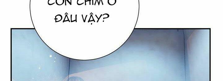 Công Chúa Của Loài Chim Chương 51.1 Ảnh 207