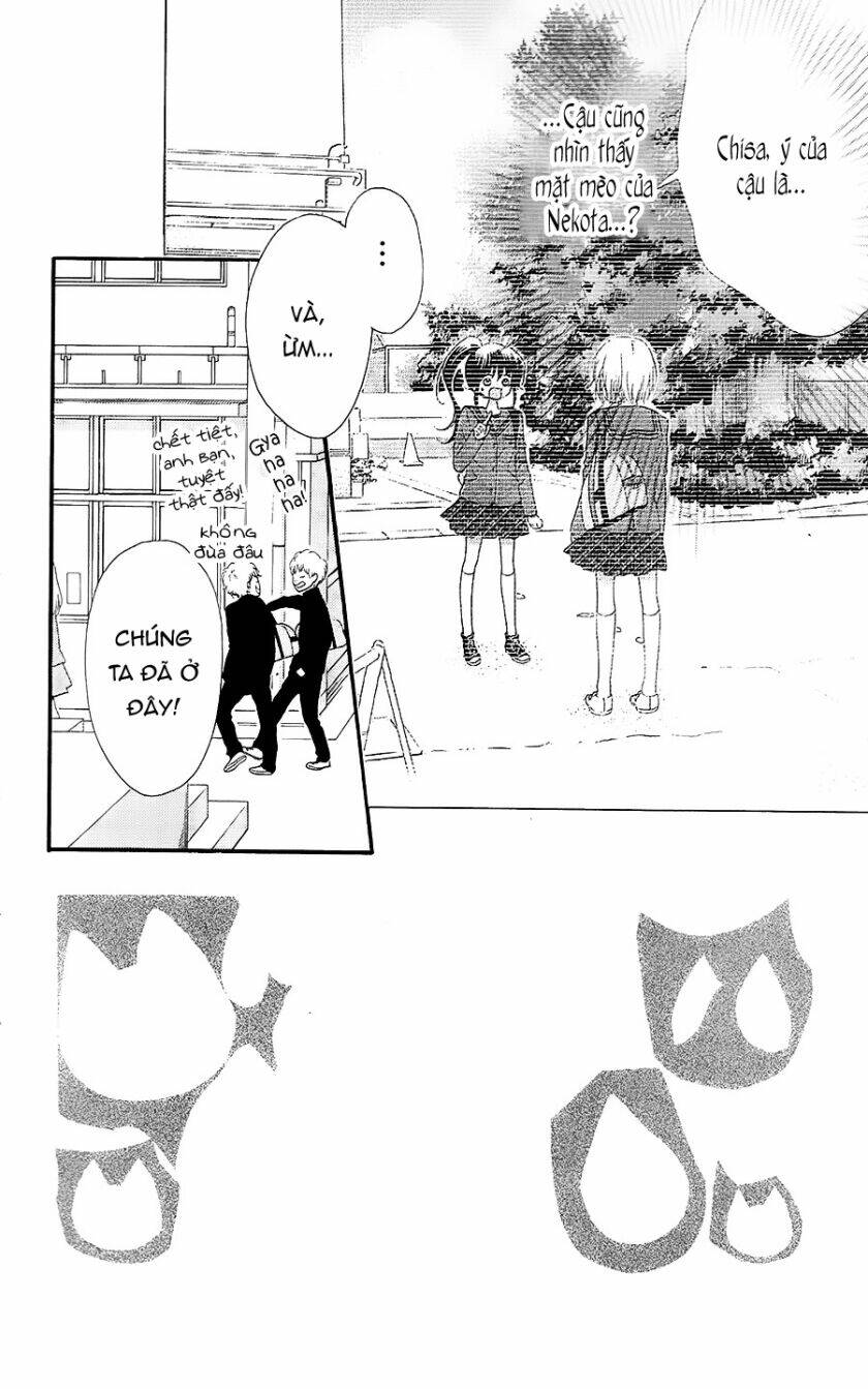 Nekota No Koto Ga Ki Ni Natte Shikatanai Chương 26 Ảnh 6