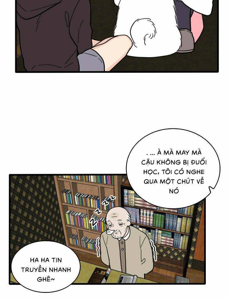 Not So Shoujo Love Story Chương 16 Ảnh 31