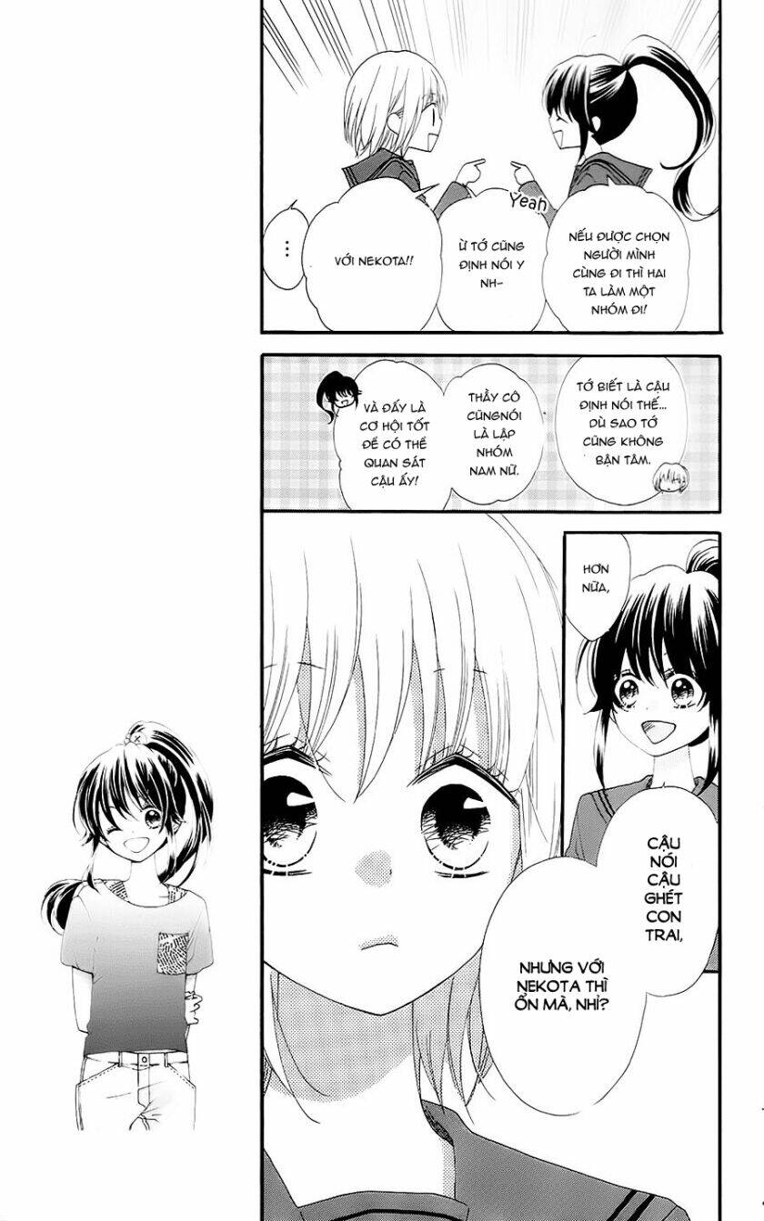 Nekota No Koto Ga Ki Ni Natte Shikatanai Chương 27 Ảnh 11