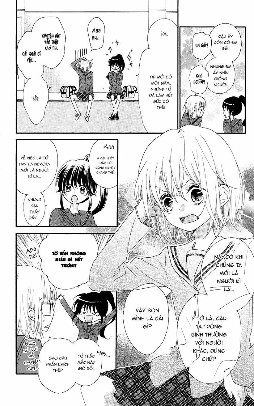 Nekota No Koto Ga Ki Ni Natte Shikatanai Chương 26 Ảnh 8