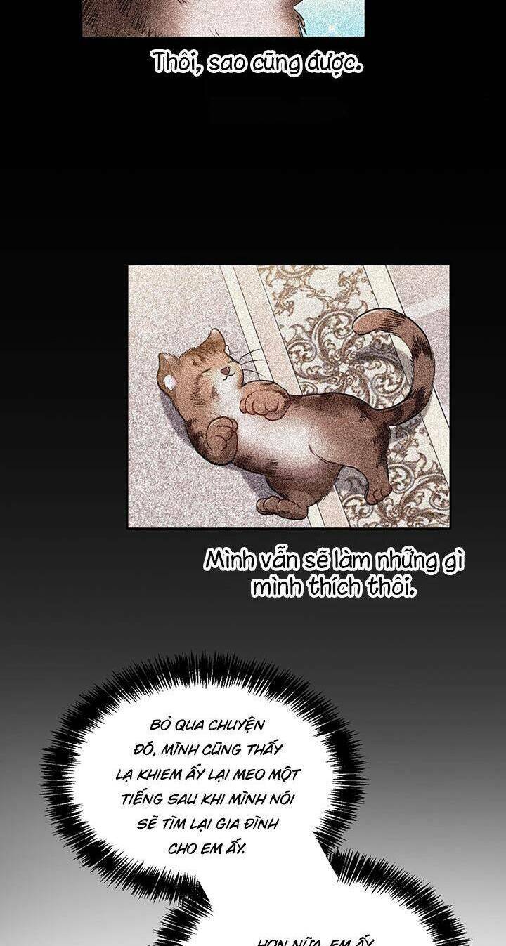 Tôi Chỉ Là Một Tiểu Thư Bình Thường Chương 81 Ảnh 25