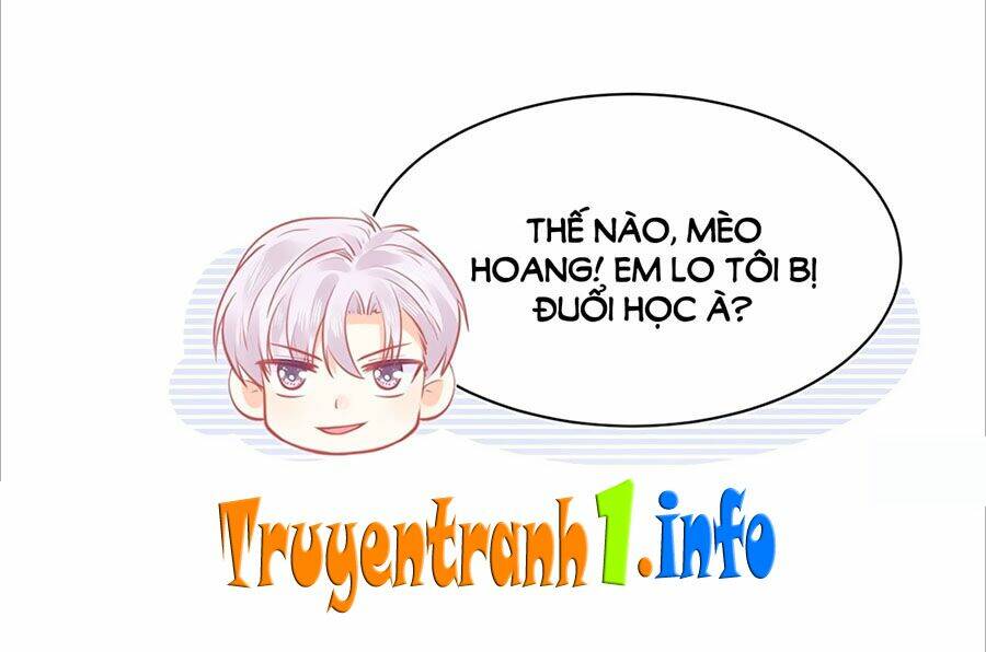 Bọn Họ Đều Muốn Gả Cho Tôi Làm Sao Đây? Chương 26 Ảnh 35