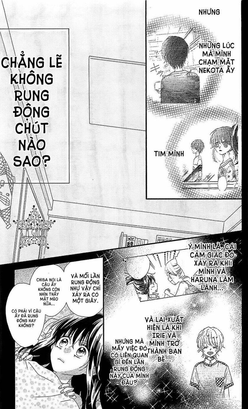 Nekota No Koto Ga Ki Ni Natte Shikatanai Chương 29 Ảnh 14